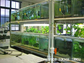 Conservation Breeding Room