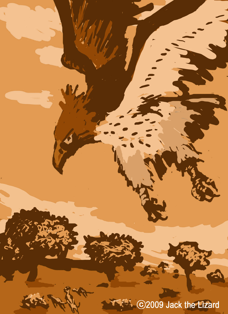 Martial Eagle