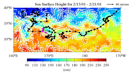 This image is the Kuroshio Extension Current Region.