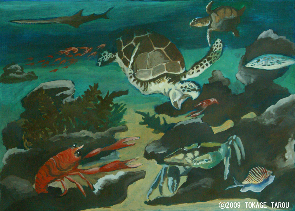 Loggerhead Sea Turutle, crabs, fish, invertebrate