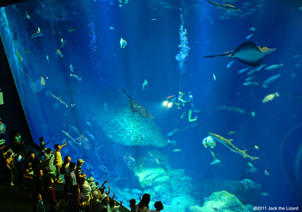 Ibaraki Prefectural Oarai Aquarium