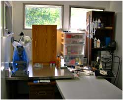 Laboratory, Prince Rupert Wildlife Rehab Shelter