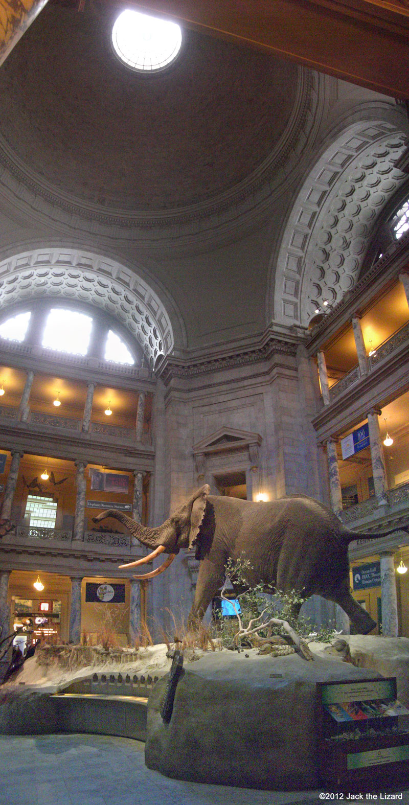 Entrance of National Museum of Natural History