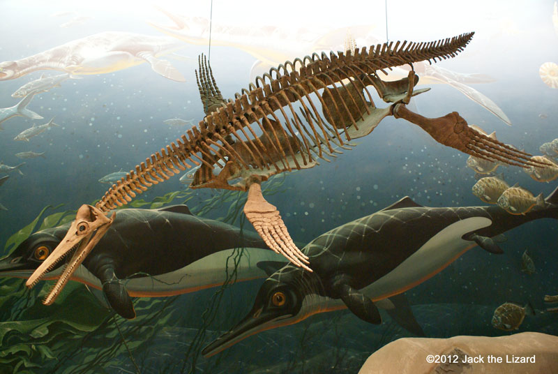 Pliosaur