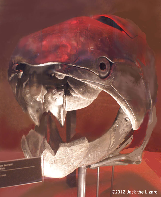 Dunkleosteus terrelli