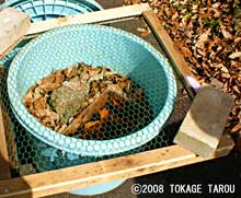 Frogs are hibernating in this pail. Tama Zoo