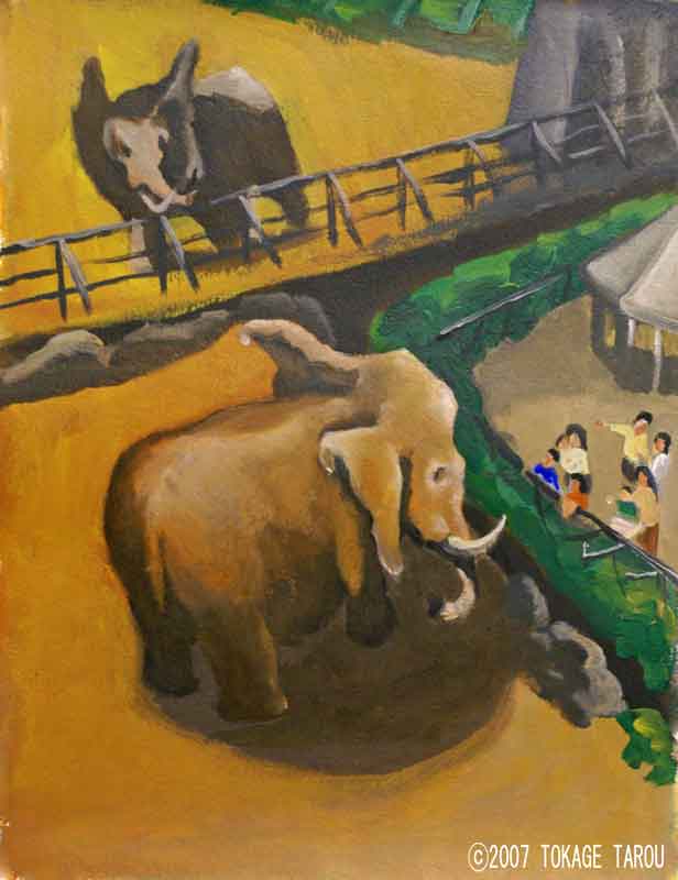 elephant, Tama Zoo