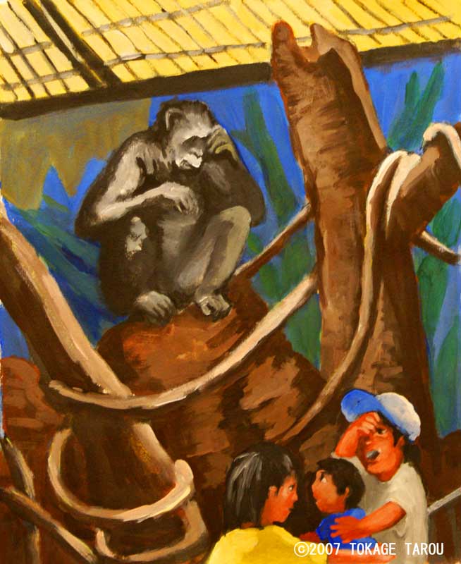Chimpanzee, Tennoji Zoo