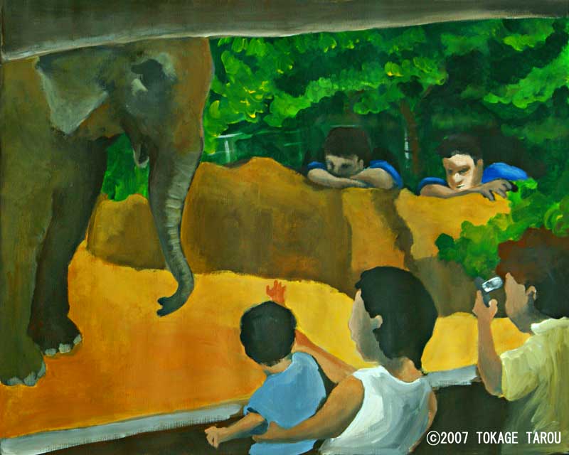 elephant, Tennoji Zoo