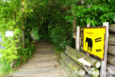 Let's go see the elephants!, Tennoji Zoo