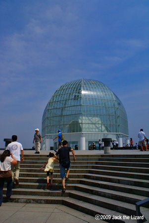 Entrance of Tokyo Sea Life Park