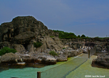 Penguin Park, Tokyo Sea Life Park