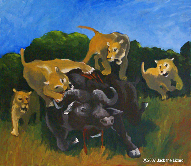 Lions and African Buffalo