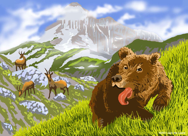 Marsican Brown Bear