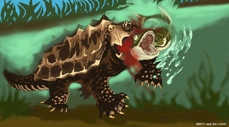 The Alligator Snapping turtle