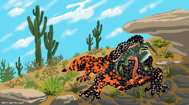 Gila Monster