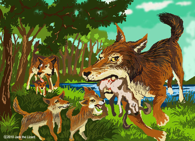 Red Wolf